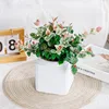 Double Layer Plastic Hydroponic Flowerpot 3