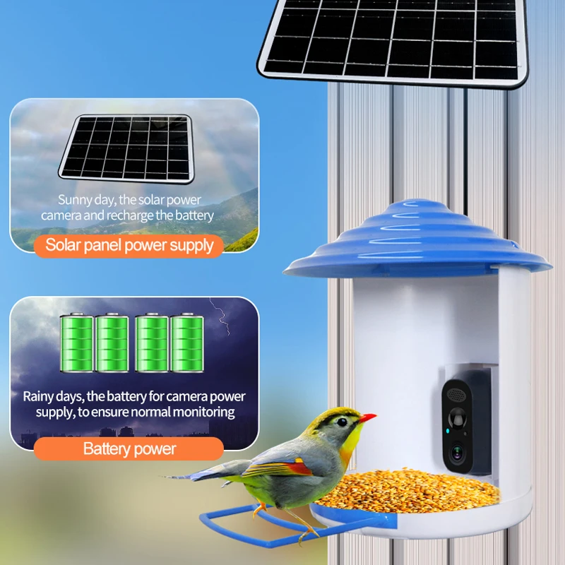 Mangeoire à oiseaux avec caméra d'extérieur, mangeoire à oiseaux  intelligente Birdfy pour l'observation des oiseaux, capture  d'images/vidéos/détection de mouvement, bleu (Birdfy Lite + Solar) 