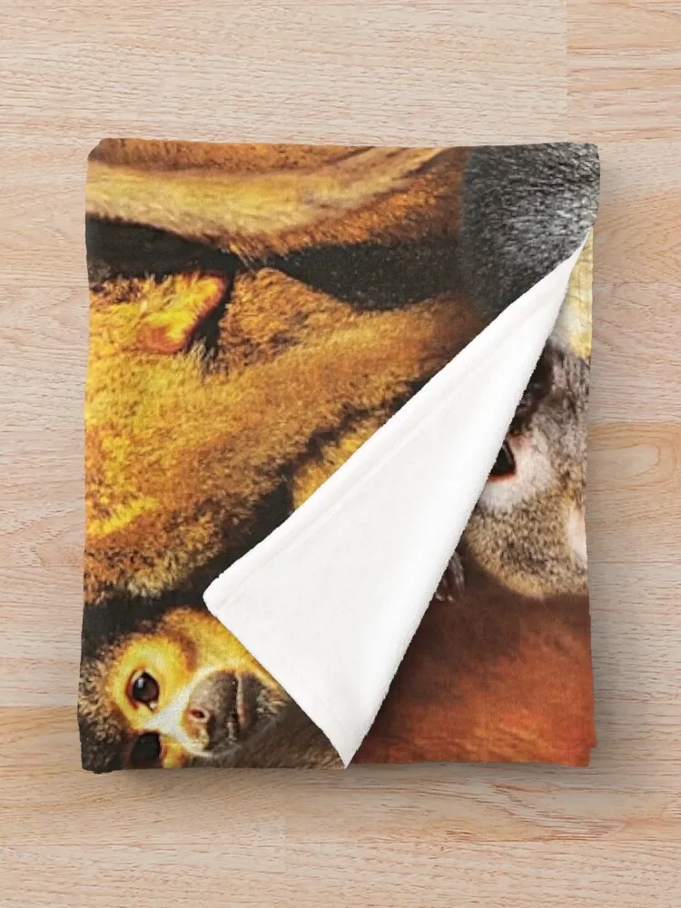 �ٶ��� ������ ������ ���, ķ�� ���� ���