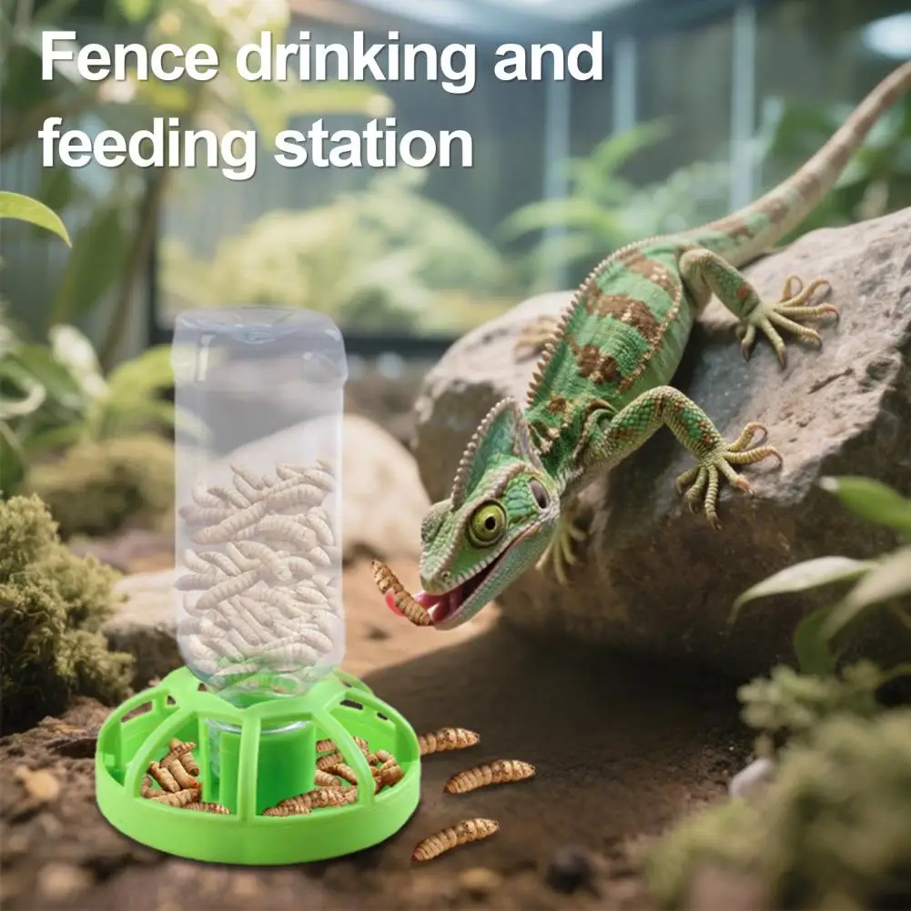 Description Picture 5 of itemChick Feeder Quail Feeder And Waterer Anti-Dump Water Dispenser Chicken Feeder for Ducks Turkeys Quail Baby Chicks
