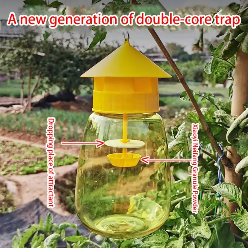 Durable Fruit Fly Trap Killer Use Powerful Fruit Fly Killer Catcher