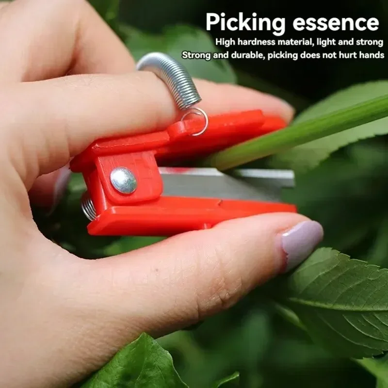 1-80pcs Vegetable Picking Small Guillotine Knife Picking Thumb Knife Pruning And Leaf Cutting Small Scissors