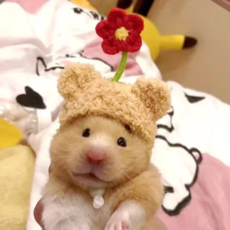 Pet Headgear Small Animal Clothes Hamster Golden Silk Bear Plush Cute Little Hat Photo Props Pure Hand Crocheted Pet Woolen Hat Winter Mini Pet Supplies