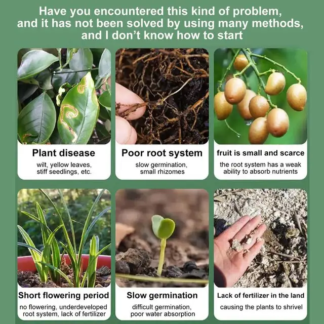 Gyökér Stimulátor Növényekhez 50 Ml Tápláló Növényi Növekedés Fokozó Kiegészítő Koncentrált Tápanyag -Oldat - Image 6