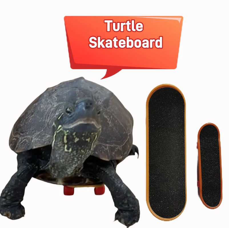 Bird Toys Mini Skateboard For Turtles Parrot Turtle Toy Finger Skate Board For Pet