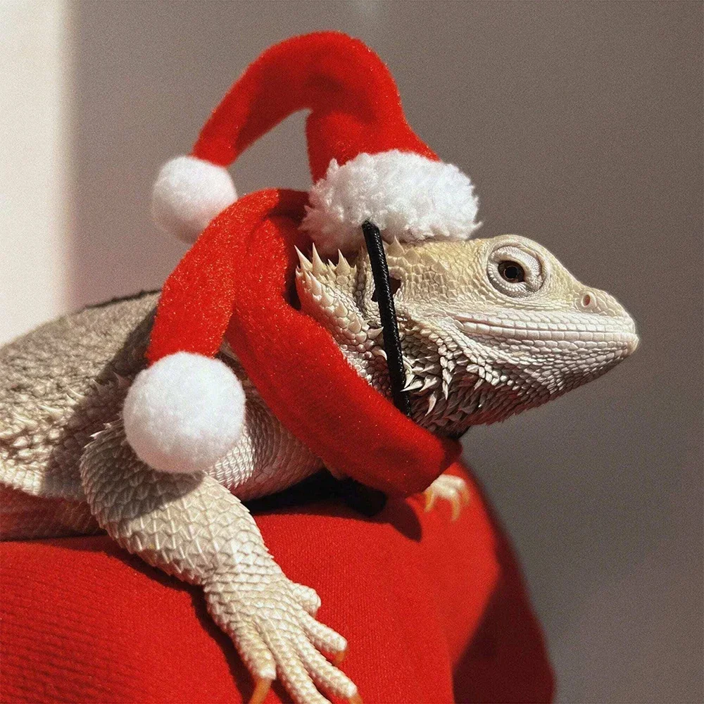 2pcs Lizard Christmas Hat And Scarf Set