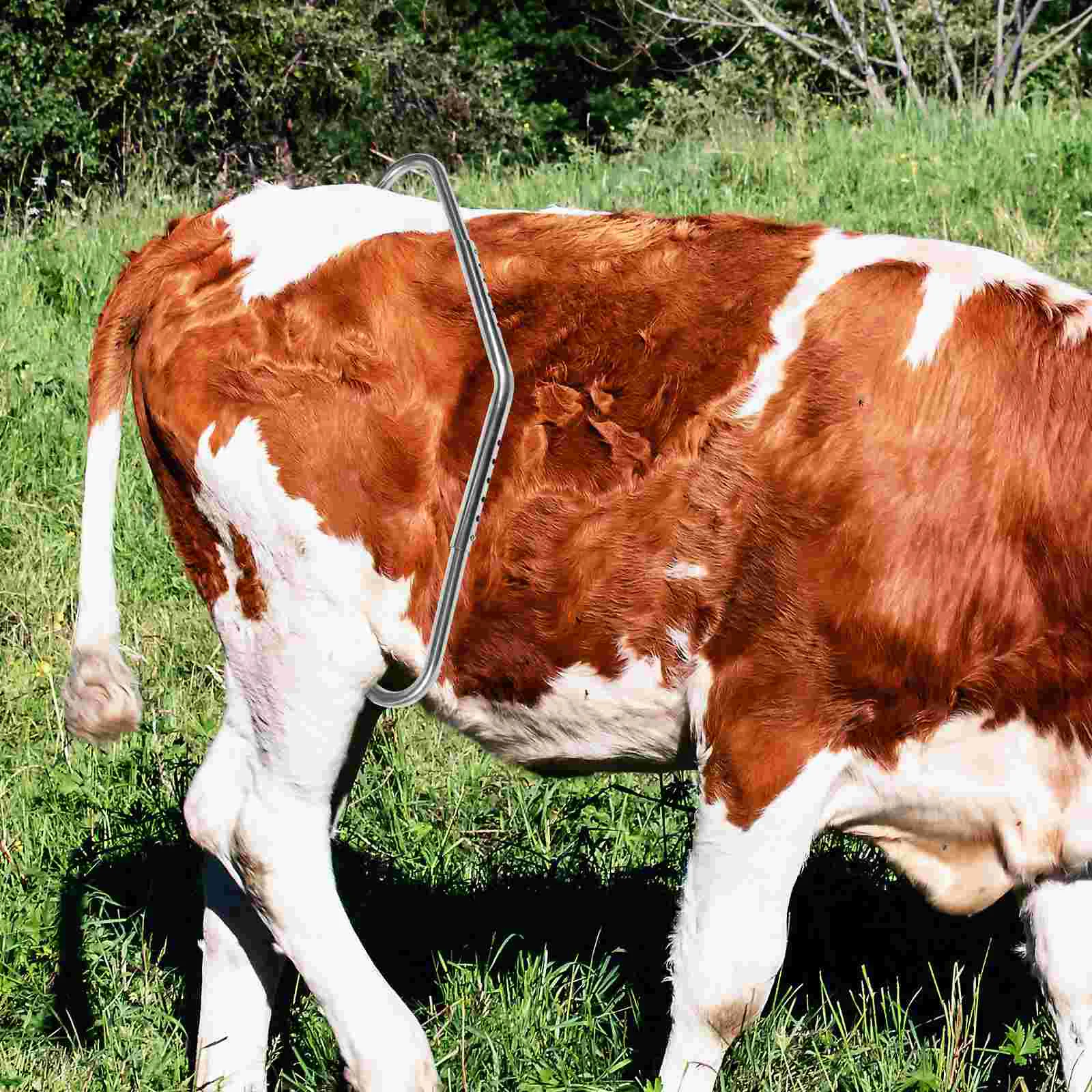 

Kick Stick Anti-kick Rod Cow Stop Kicking Postpartum Cattle Stainless Steel Stopping Farm Livestock