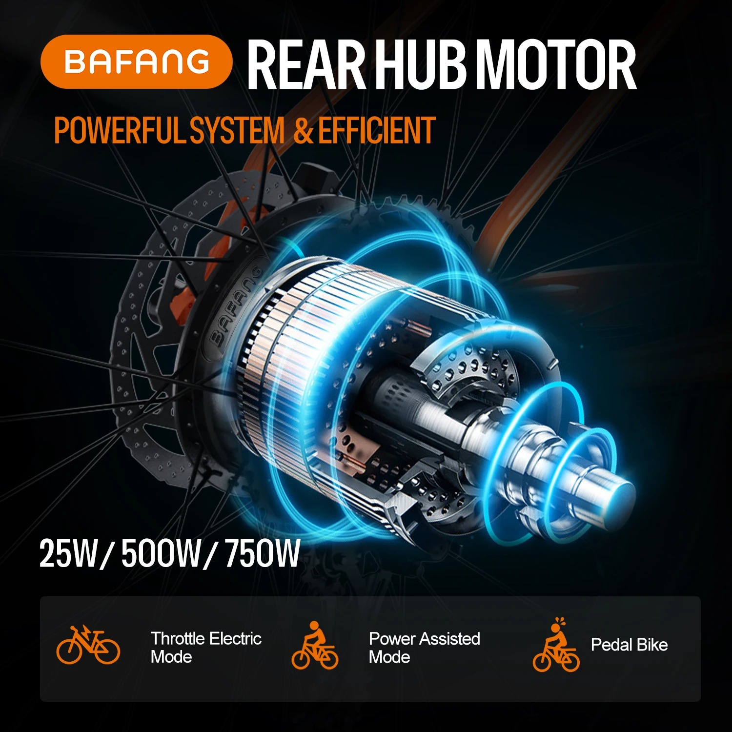 Bafang SWXH2-R Rear Wheel Motor 36V 250W