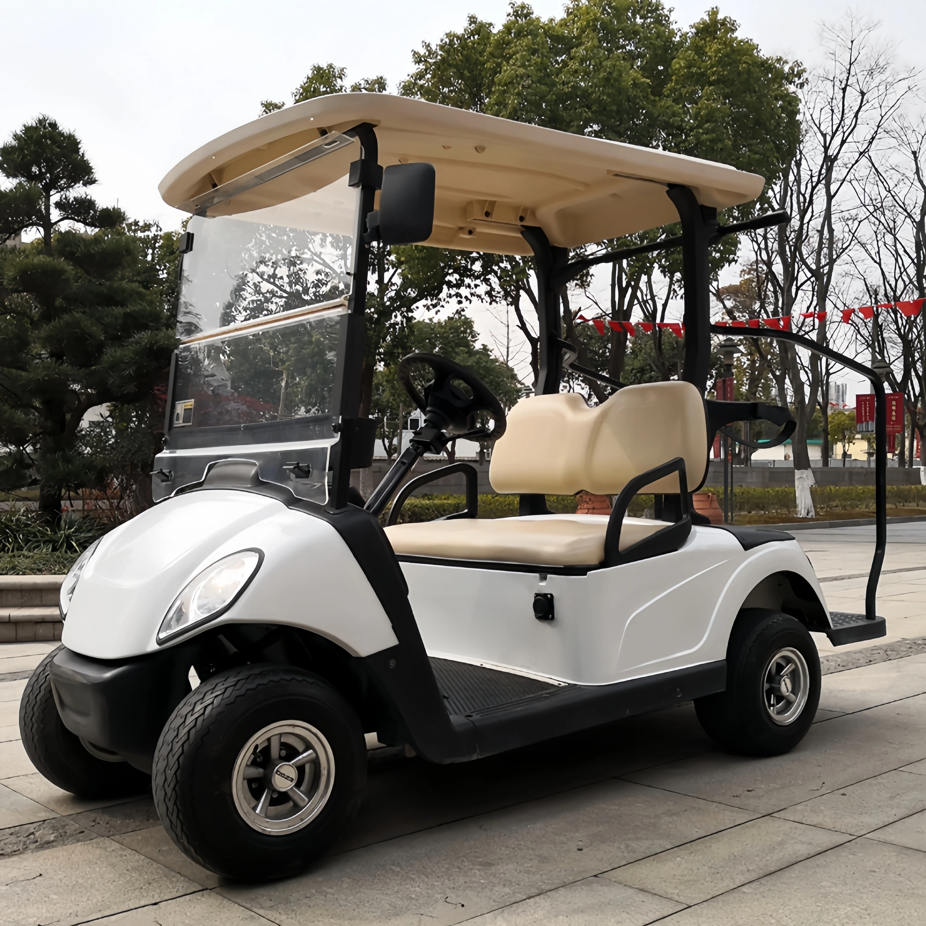 전기 골프 카트 60V/150ah 무보수 배터리 2025 최신 실용적인 중국산 전기 골프 카트