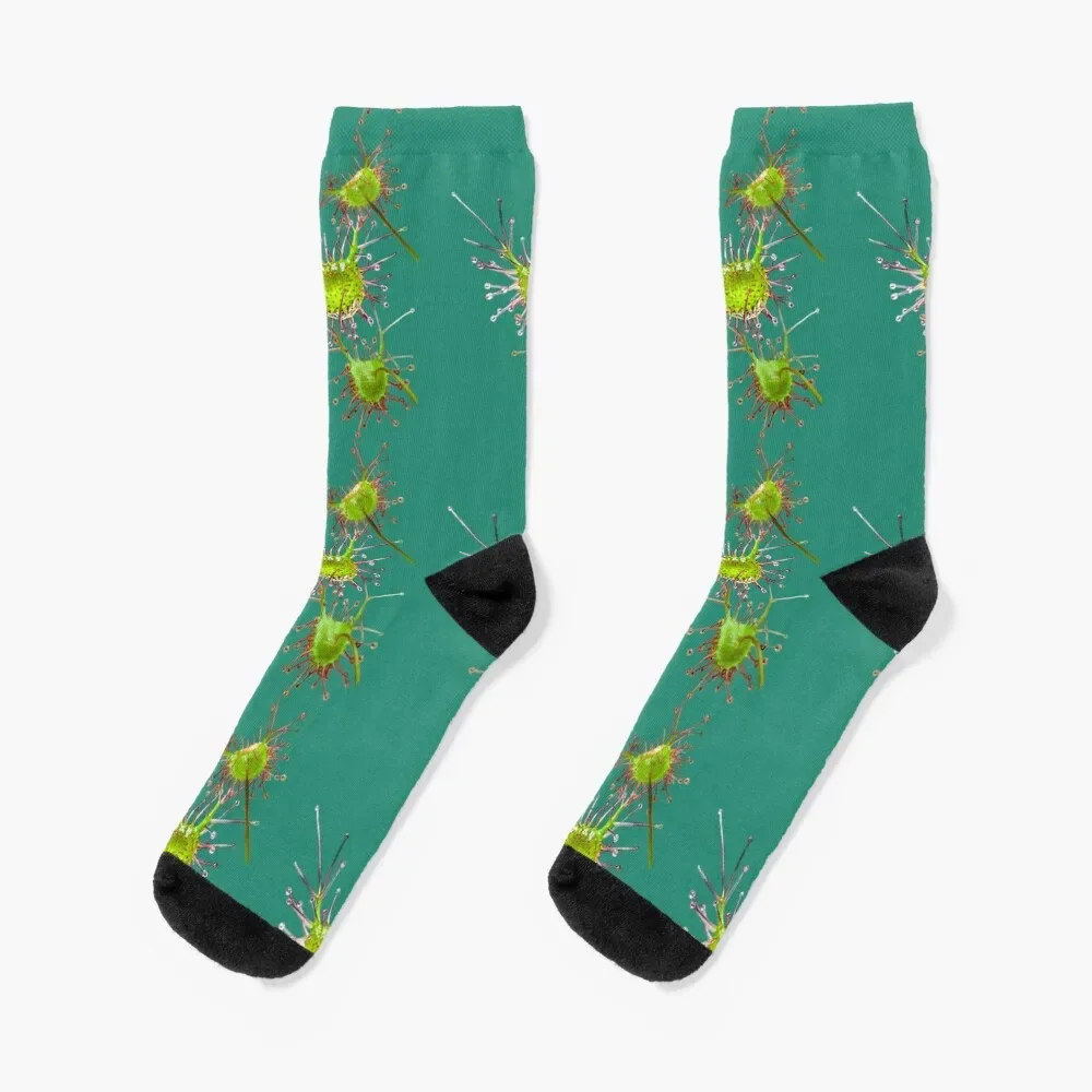 

Sparkling Sundew Socks Men's christmas gifts Luxury Woman Socks Men's