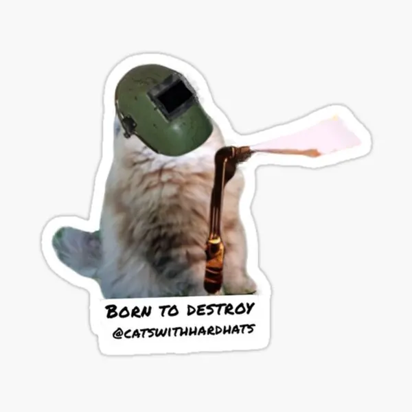 

Born To Destroy 5PCS Stickers for Luggage Home Laptop Stickers Background Kid Bumper Funny Window Room Decorations Living Room