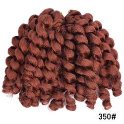 Ombre Curly Crochet Braiding Hair Extensions - 1Pcs (350)