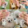 Pet Fur Memorial Keychain Transparent Dog/Cat Hair Storage Pendant Hair Collector WIth Key Ring for Pet Lovers DIY Souvenir Gift 6