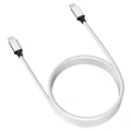 C to C 100W White
