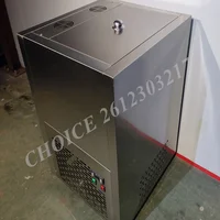 220V Electric Commercial Fruit Ice Cream Machine Automatic Single and Double Manual Popsicle Maker Quick-Freezing Making 2