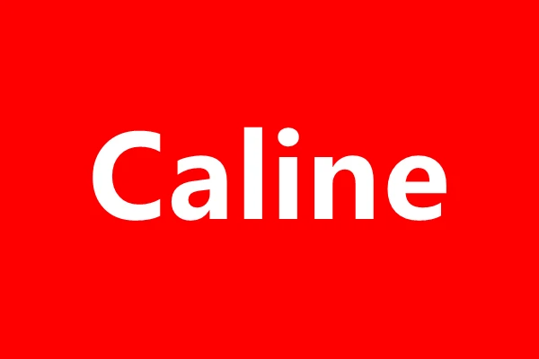 Skyline Music Store