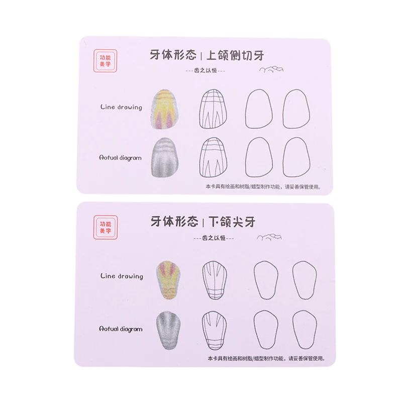 레진 치과용 복합 레진 필링 연습 보드 모델 치아 템플릿 복원 치실 치과의사 전치부 후치부 연습용 스택