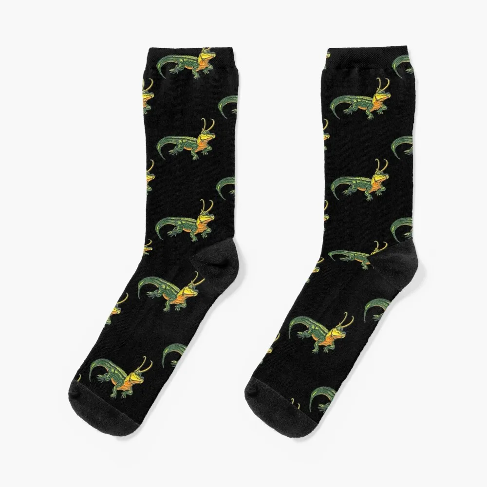 

Loki gator Alligator loki Croki Crocodile God of mischief Socks winter socks Mens Socks Women's