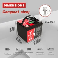 Kit de système de panneaux solaires pour la maison, contrôleur de charge 100A, onduleur 2000 V, batterie Lyen 10Ah, 30Ah, 1000W, 2000W, 220 W 3