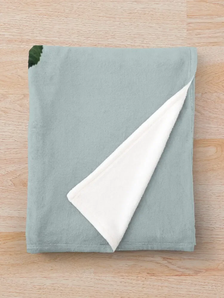 Queer ��Ƽũ ��� ������ ���, ���� ���� ���, ���Ÿ� �귣�� ����� ���