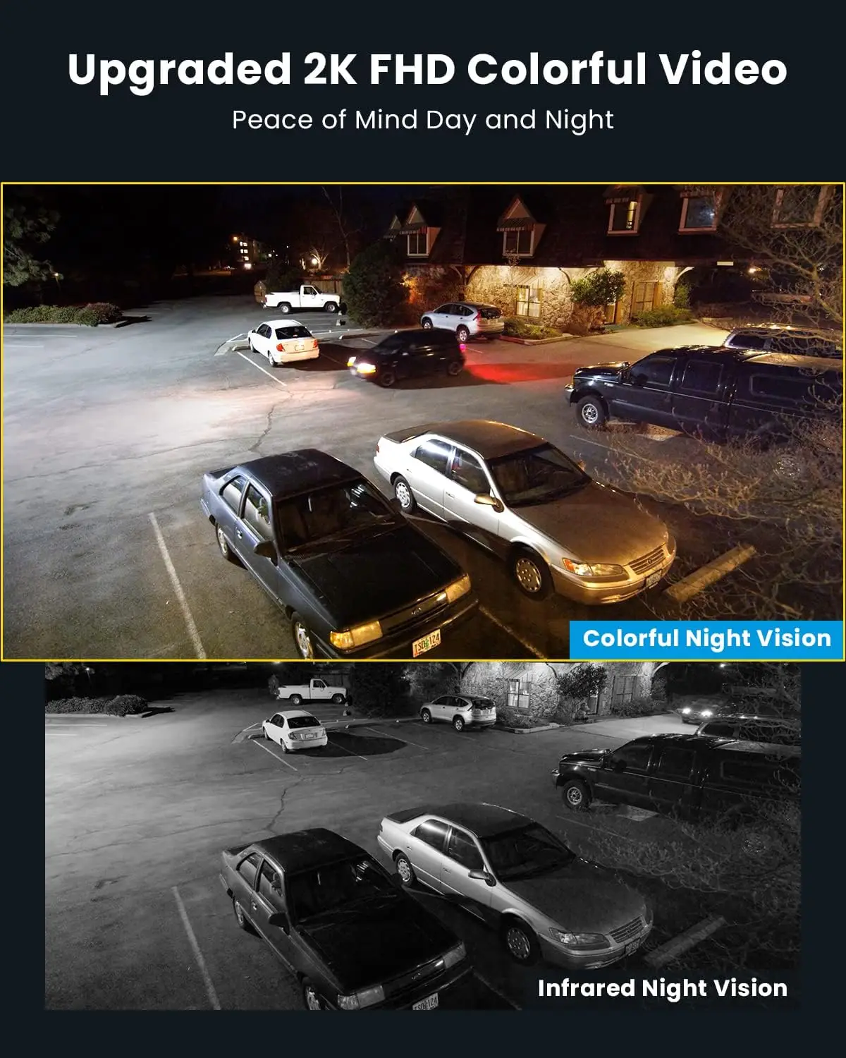 Night vision view with color