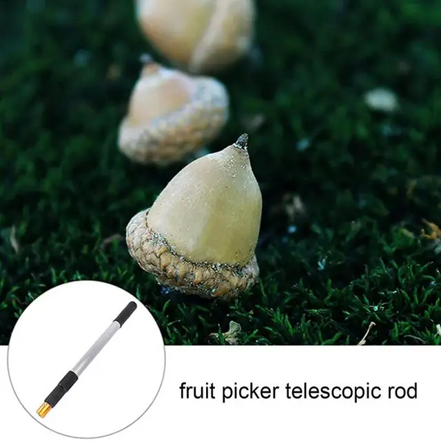 Hosszabbító Pólus Állítható Diófélékhez Pólusok Pekándió Golf Tenisz Golyók Játék - Image 5