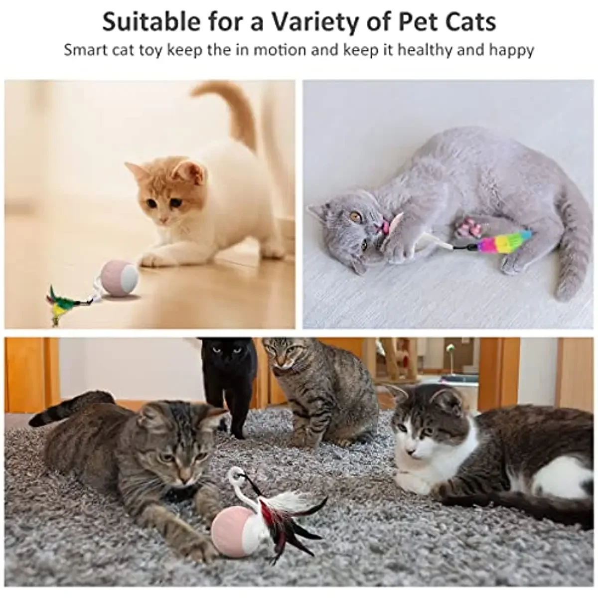 Bored Cats Best Cat Wand Toys ChicWow Interactive Retractable Cat