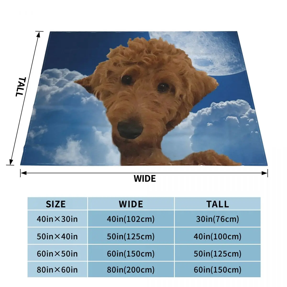 �� ��� ���� ������ ��� �ö���, ���� �ε巯�� ķ�� ��� �� ������ ���