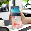 Clear-SMTWQ770
