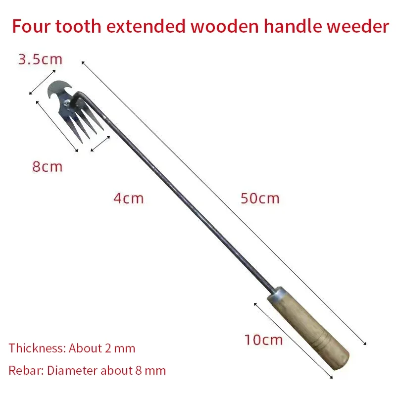 wood 50