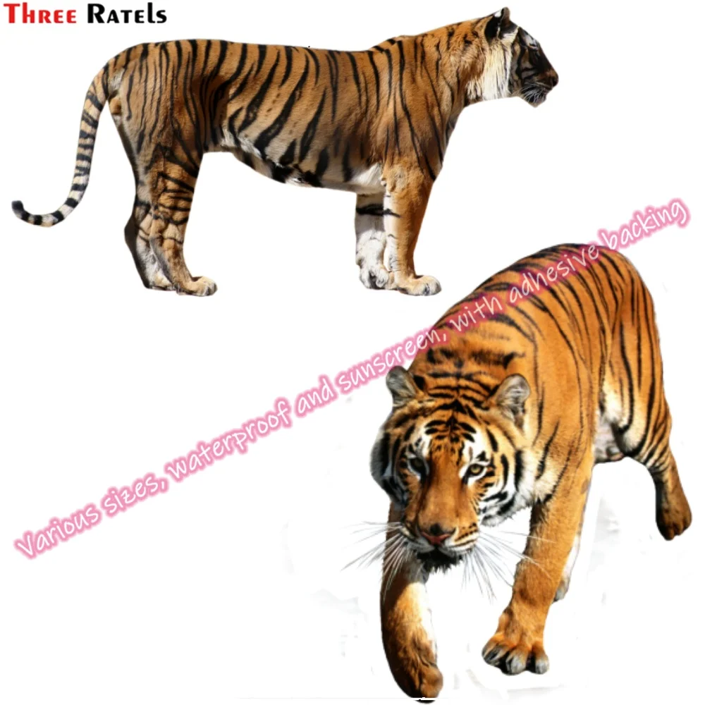 

Three Ratels N121 Personalised Car Stickers For Jeep Window Sticker Vinyl Car Decals Truck Accessories Auto Accessory