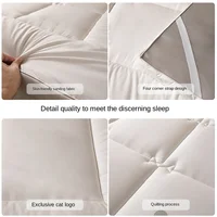 1Pc hôtel Style matelas coussin doux maison chambre Tatami tapis matelas épaissi coussin de couchage simple Double lit matelas Vrzone 5