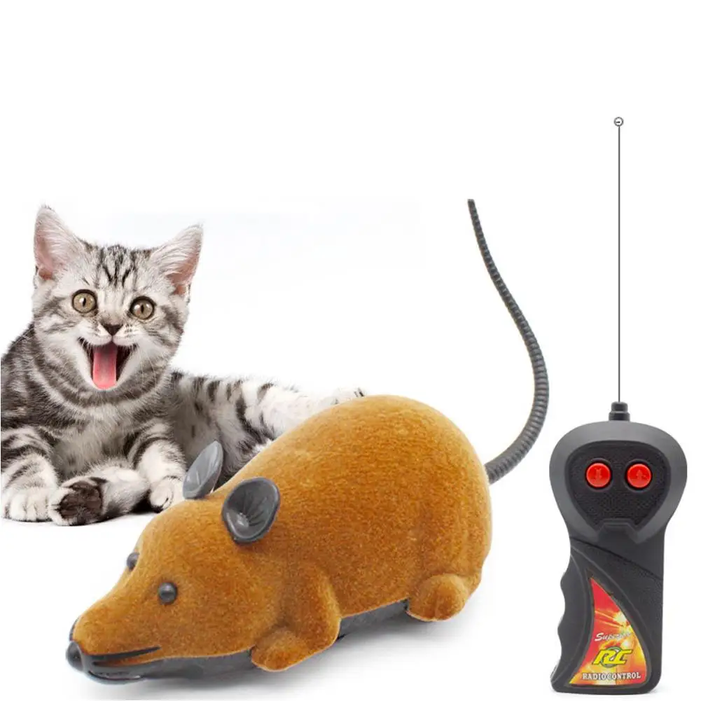 Best Remote Control Cat Toy