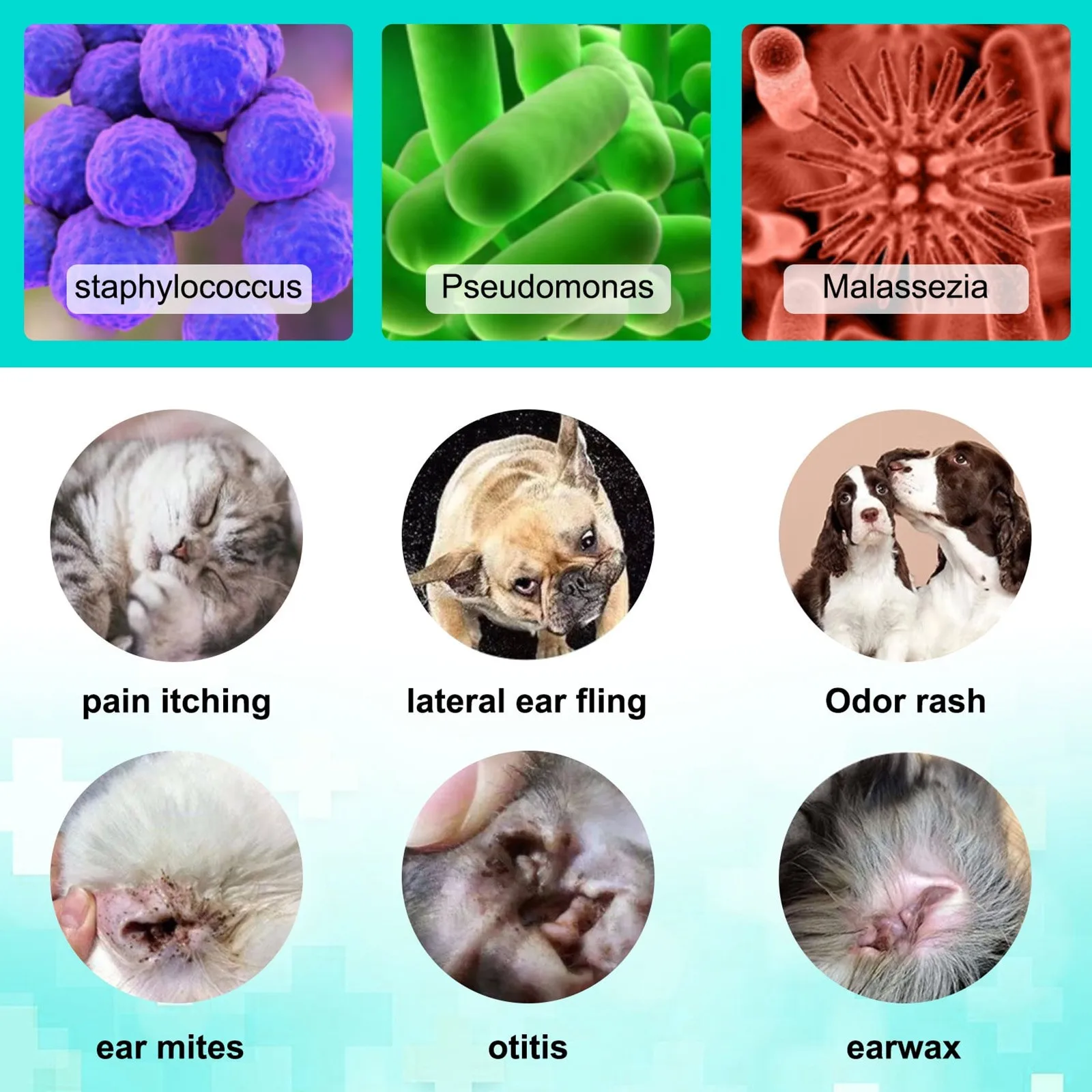 22ml Dog Cat Ear Cleaner pet ear medicine