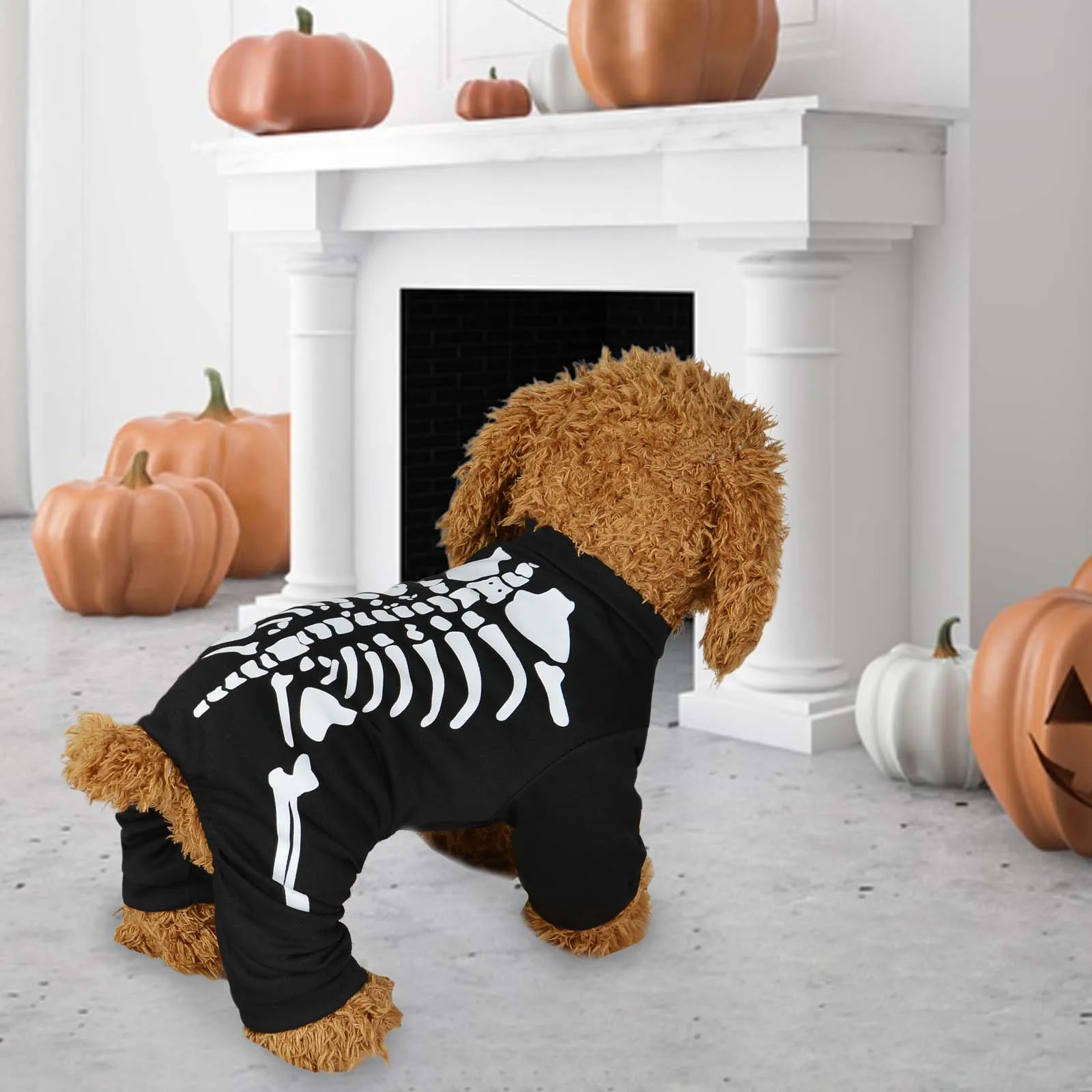 Dog Halloween Skeleton Costume THE 1 PET SHOP