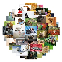 50Pcs Cute Animal Postcards Graffiti Stickers For Hand Account Water Cup Refrigerator Phone Case DIY Waterproof Stickers Decals