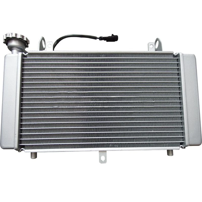 Motorcycle Accessories Sai 550S Water Tank Assembly Sai 550 Water Tank Fan Chase 550 Radiator Fan Cooler