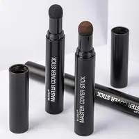 6 Colors Hairline Concealer Pen Nose Shadow Hair Root Edge Blackening Shadow Powder Brow Powder Contour Stick Hair Coloring 1