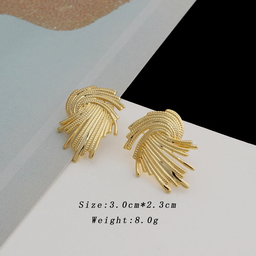 Unregelmäßige Geometrie Große Ohrstecker für Frauen Goldene Farbe Metall Europäische Aussage Ohrringe Hochzeit Party Punk Schmuck Geschenk – Detail 1