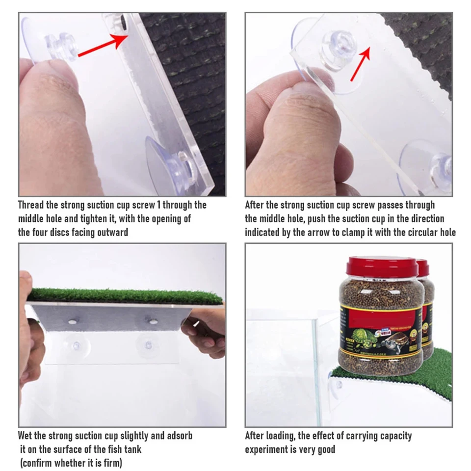 Piattaforma Per Tartarughe Acquatiche Con Ventosa - Area Soleggio E Alimentazione Per Acquario - Foto 7