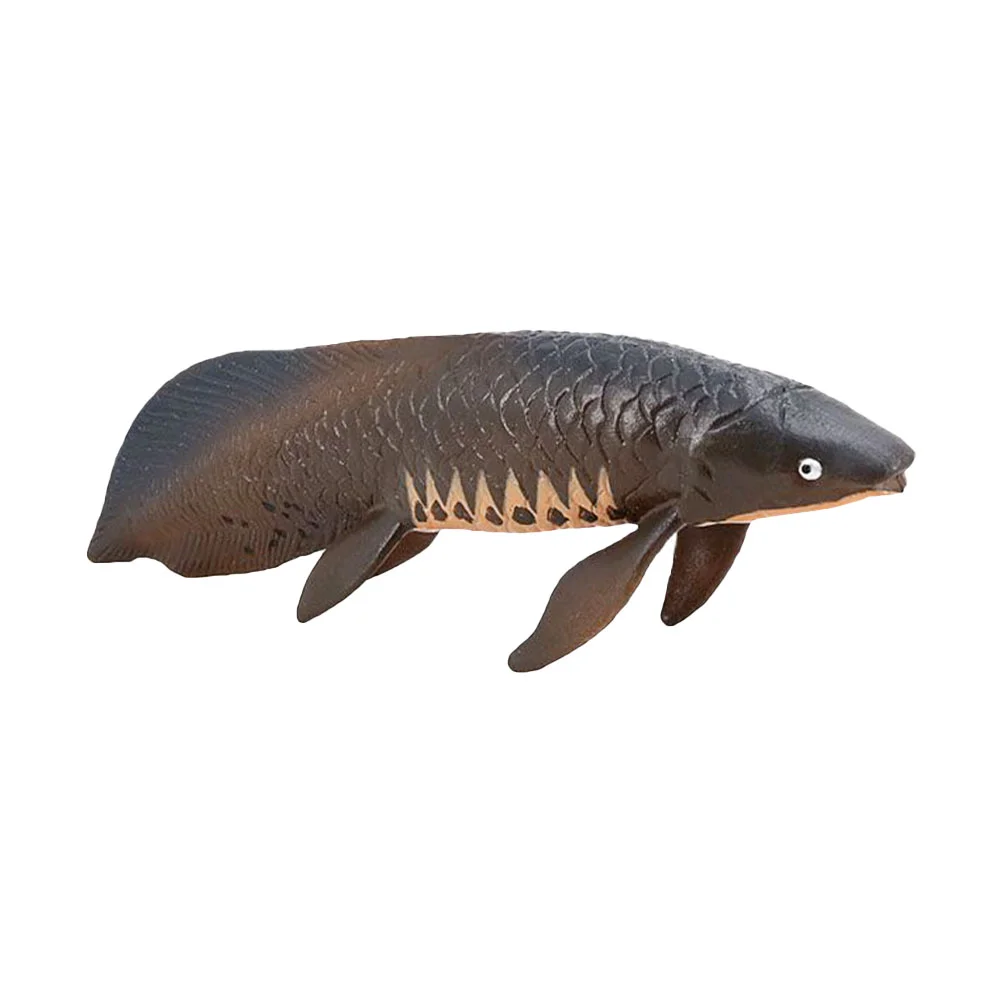 

Simulated Arapaima Simulation Fish Models Kids Animal Cognitive Plaything Ocean