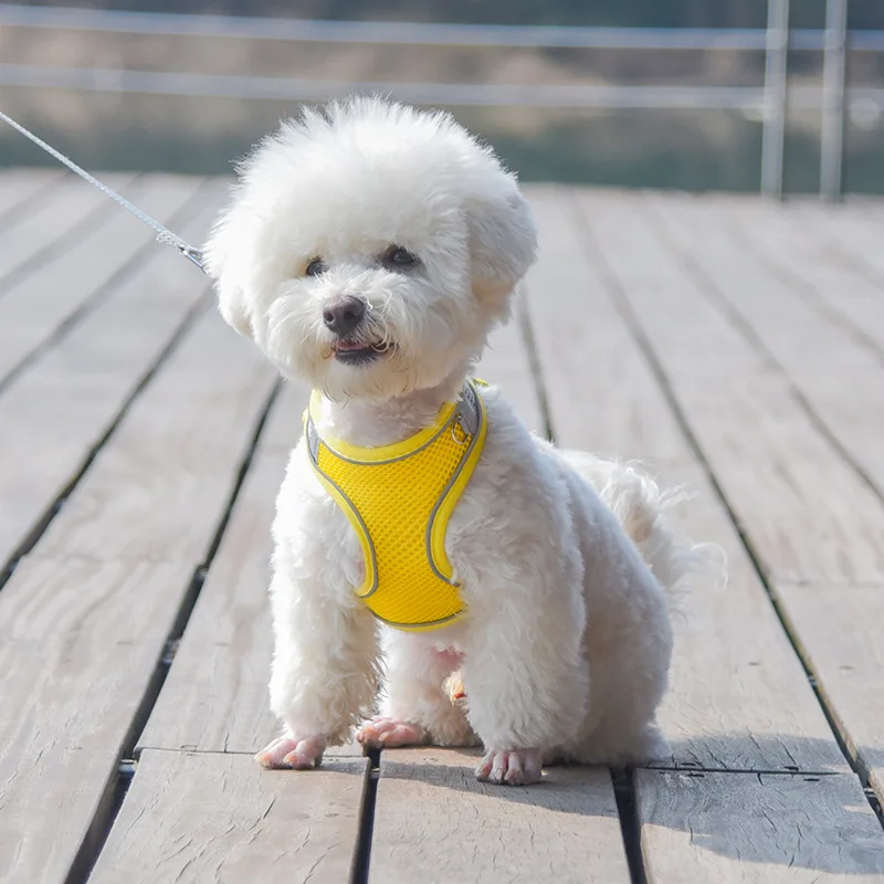 S665cc38dd04a46a09e789b6f5c1d73646