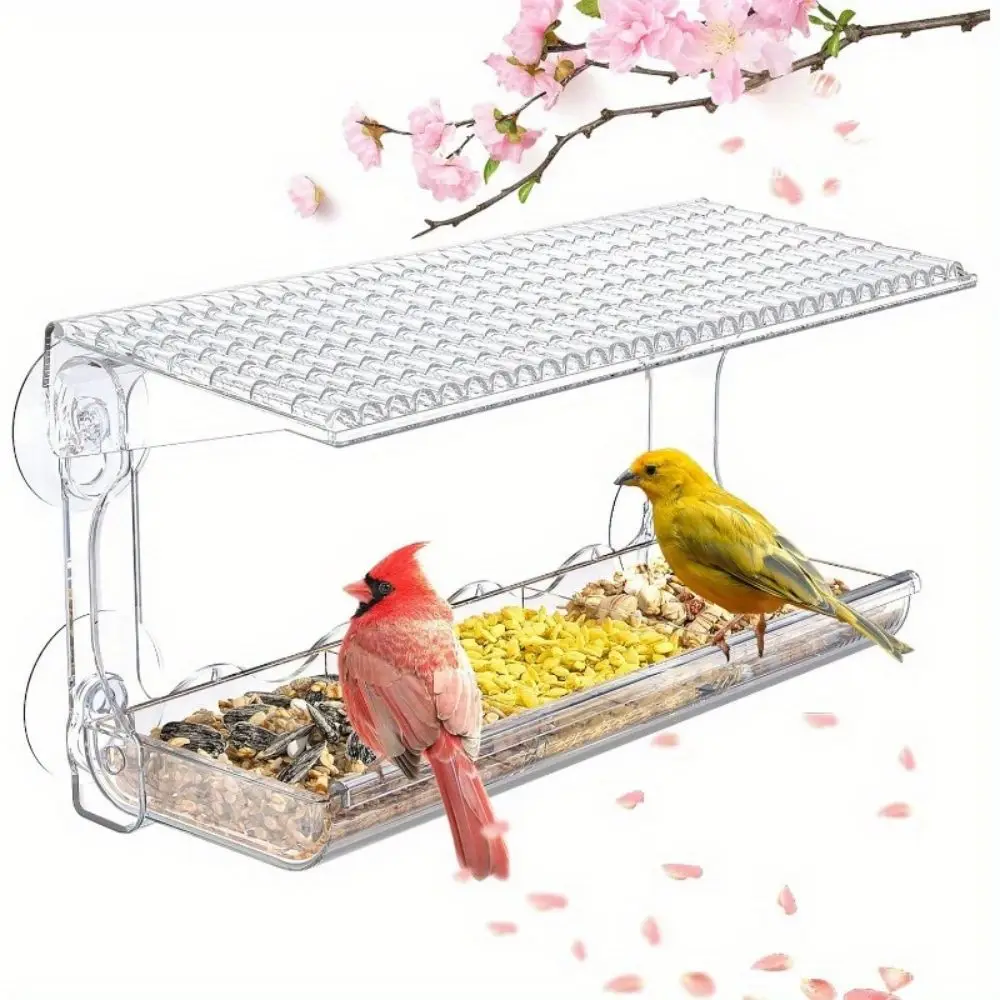 Bird Feeder Window Mounted for Outdoors with Suction Cups
