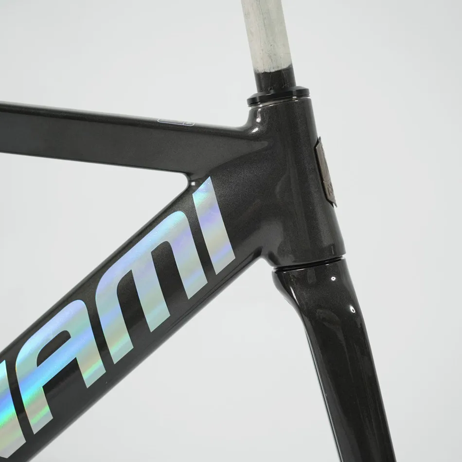 TSUNAMI SNM200 Frameset 700C Aluminum Fixed Gear Bike Frame Racing