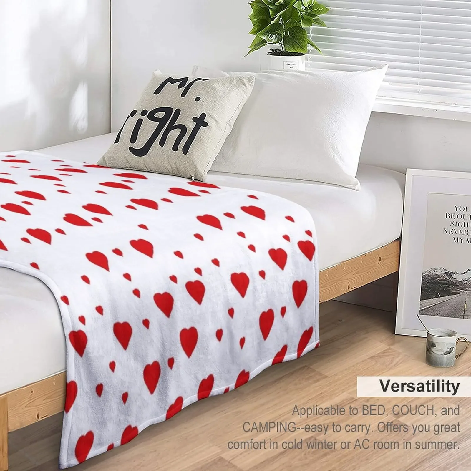 �ҿ��� ���� ��Ʈ ������ ���, ���� ũ�������� ����, ǫ���ϰ� ���� ����ִ� ���� ���