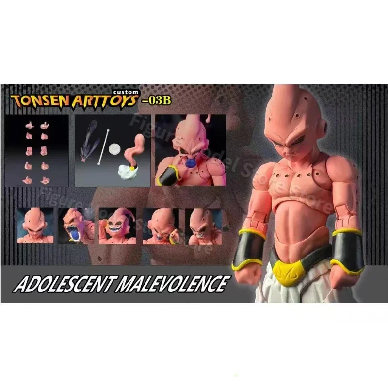 Tonsenarttoys-ドラゴンボールのアクションフィギュア,s.h.figuarts 