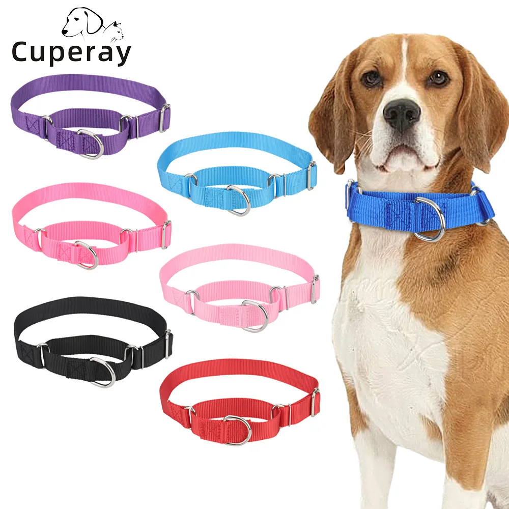 Martingale-Halsband Für Hunde – Gepolstertes Neopren, Reflektierend, Verstellbar Für Kleine Bis Große Hunde