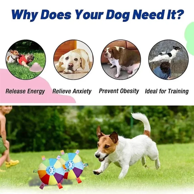 Flying Saucer Dog Toy 5