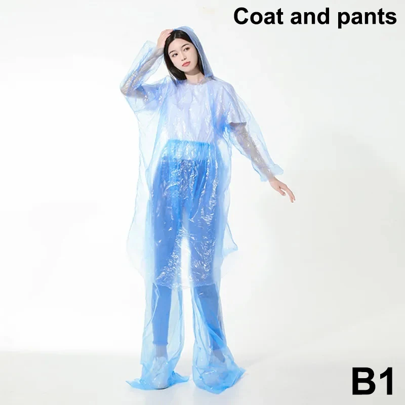 B1