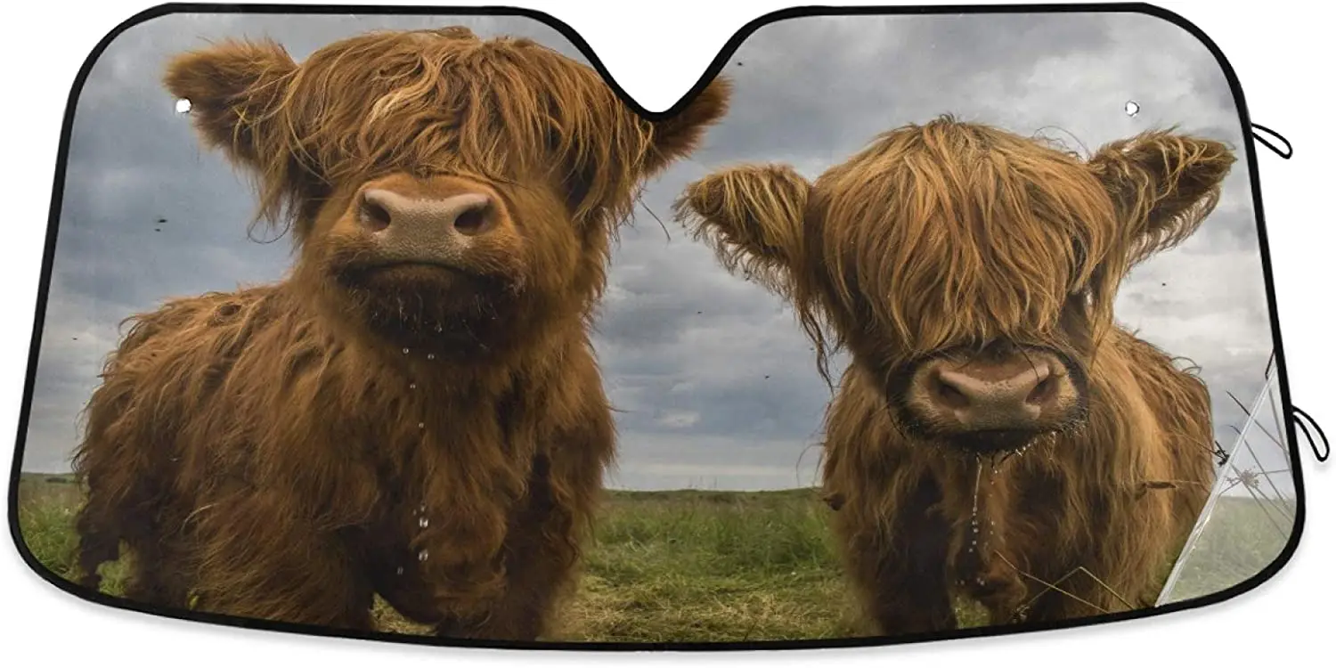 

xigua Funny Creativity Front Windshield Sun Shade, Foldable Accordion Auto Sunshade Blocks UV Rays Keeps Vehicle Cool Sun Visor